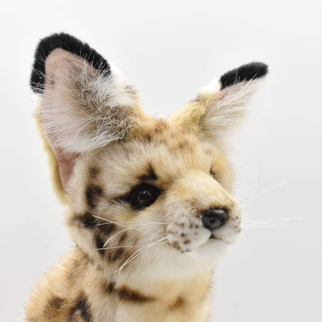 Amazon.co.jp: BH7373 HANSA サーバルキャット 44 : おもちゃ